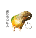 ウロコインコのもみじ②（個別スタンプ：16）