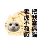 猫-FanFan X ミルク X Crystal（個別スタンプ：15）