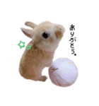 うさぎのてとまる。（個別スタンプ：18）