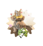 愛犬ココちゃんスタンプ♡（個別スタンプ：3）