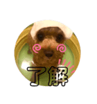 愛犬ココちゃんスタンプ♡（個別スタンプ：5）