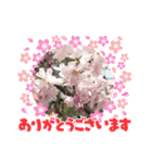 季節のお知らせに参りました（個別スタンプ：1）