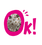 季節のお知らせに参りました（個別スタンプ：3）