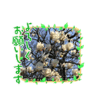 季節のお知らせに参りました（個別スタンプ：8）
