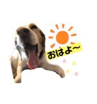 レモンビーグルスタンプ（個別スタンプ：3）