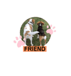 レモンビーグルスタンプ（個別スタンプ：16）
