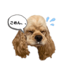 あんちゃん！！（個別スタンプ：2）