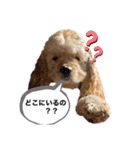 あんちゃん！！（個別スタンプ：3）