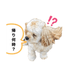 あんちゃん！！（個別スタンプ：4）