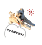 あんちゃん！！（個別スタンプ：9）