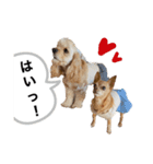 あんちゃん！！（個別スタンプ：10）