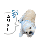 あんちゃん！！（個別スタンプ：11）