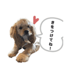 あんちゃん！！（個別スタンプ：13）