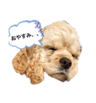 あんちゃん！！（個別スタンプ：16）