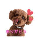 プーちゃん【日常使い】（個別スタンプ：6）