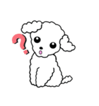 Yume＆Tomo（個別スタンプ：14）