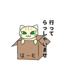 親切丁寧なつもりです。にゃんです。（個別スタンプ：8）