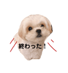 寂しがり屋ももちゃん 2（個別スタンプ：6）