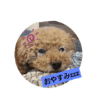 ジィジィ君Ⅱ（個別スタンプ：2）