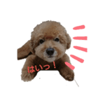 ジィジィ君Ⅱ（個別スタンプ：5）
