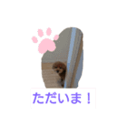 ジィジィ君Ⅱ（個別スタンプ：6）