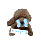 ジィジィ君Ⅱ（個別スタンプ：7）