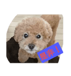ジィジィ君Ⅱ（個別スタンプ：8）