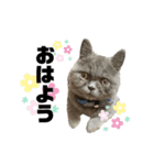 一言はちろう（個別スタンプ：8）