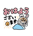 可愛いふたりマルとシロ（個別スタンプ：5）