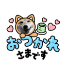 可愛いふたりマルとシロ（個別スタンプ：6）