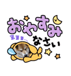 可愛いふたりマルとシロ（個別スタンプ：8）