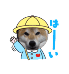 可愛いふたりマルとシロ（個別スタンプ：9）