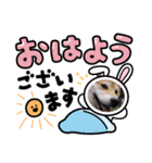 可愛いふたりマルとシロ（個別スタンプ：14）