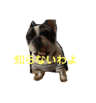 もこまん祭り（個別スタンプ：4）