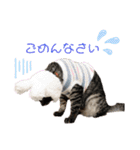 とらとら日記2（個別スタンプ：9）