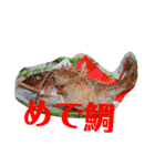 リクガメとかとか（個別スタンプ：8）