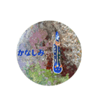 リクガメとかとか（個別スタンプ：13）