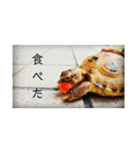 リクガメとかとか（個別スタンプ：21）