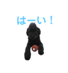 ルパンくんスタンプ第二弾（個別スタンプ：3）