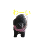 ルパンくんスタンプ第二弾（個別スタンプ：4）