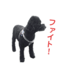 ルパンくんスタンプ第二弾（個別スタンプ：5）