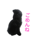 ルパンくんスタンプ第二弾（個別スタンプ：8）