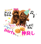 トイプー❤️ショコロン＆フレンズ3（個別スタンプ：5）