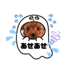 トイプー❤️ショコロン＆フレンズ3（個別スタンプ：10）