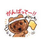 トイプー❤️ショコロン＆フレンズ3（個別スタンプ：24）