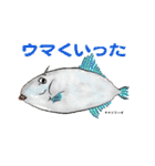 魚介のケンさん（個別スタンプ：2）