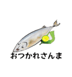 魚介のケンさん（個別スタンプ：4）