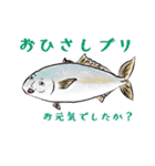 魚介のケンさん（個別スタンプ：6）