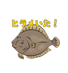 魚介のケンさん（個別スタンプ：19）