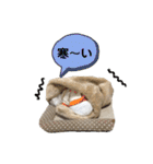 チワわんこLIFE（個別スタンプ：13）